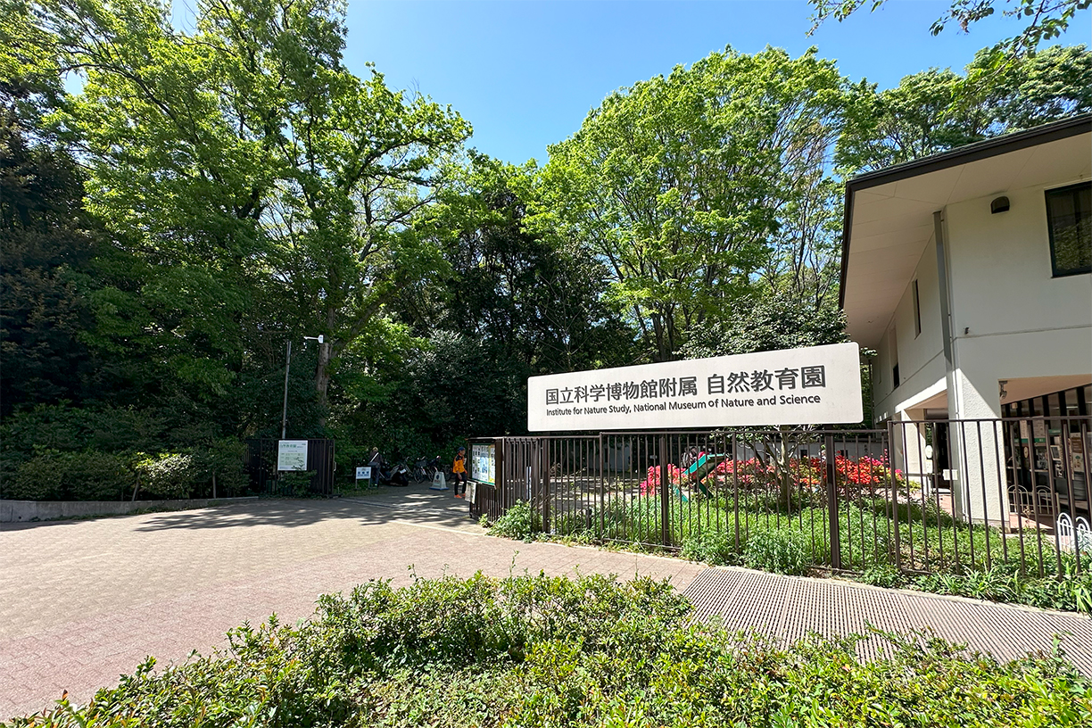 国立科学博物館附属自然教育園 徒歩約14分(約1,100m)
